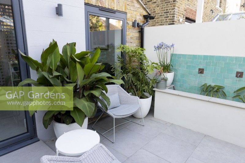 Contemporary patio with chair and water fountain. Planting includes Agapanthus, Fatsia polycarpa and Canna musifolia in containers