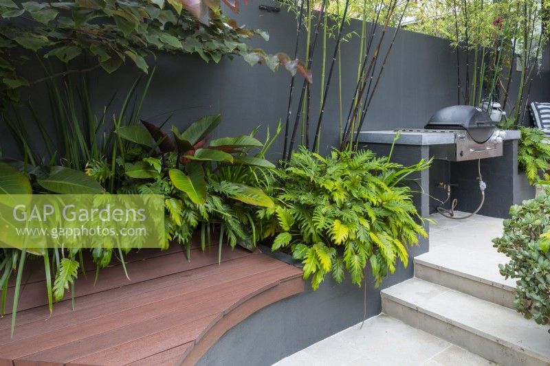 Curved composite timber bench seat in an innercity courtyard garden with steps leading to an upper level.