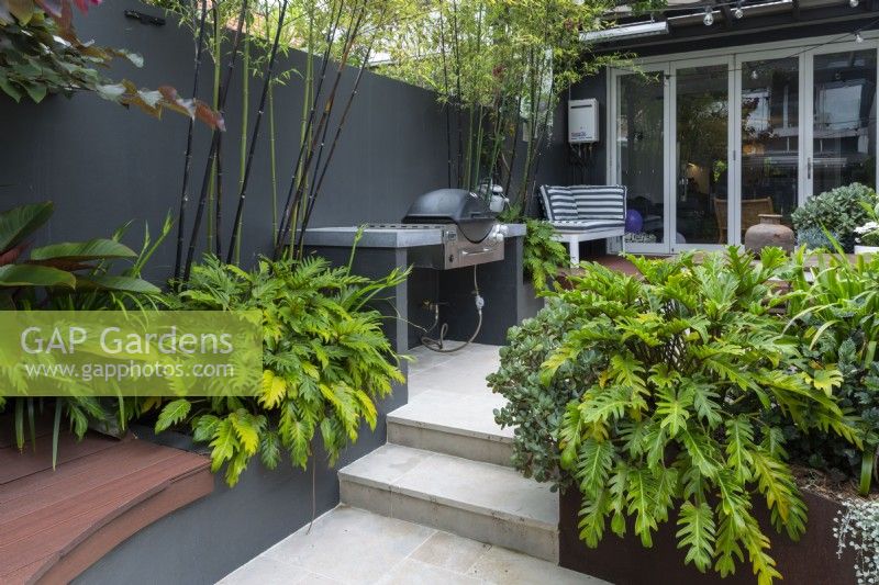 Curved composite timber bench seat in an innercity courtyard garden with steps leading to an upper level.