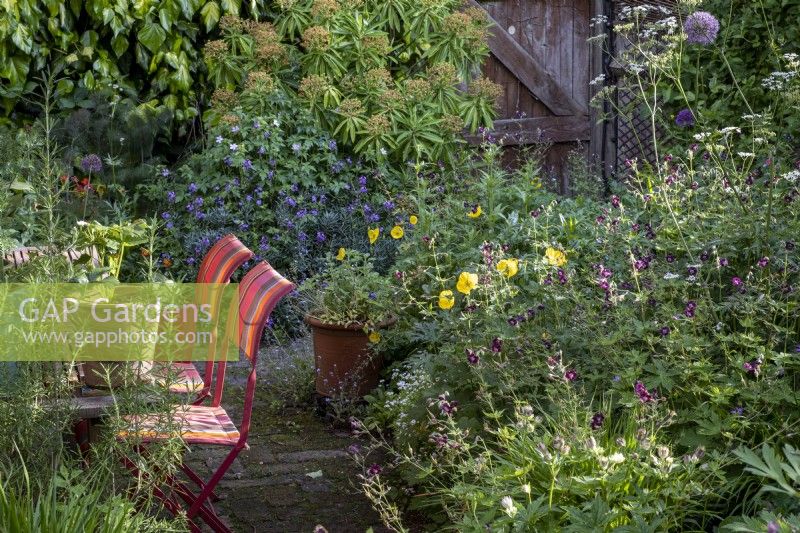 Informal cottage style garden borders, with stripey garden chairs, and shrubs to give height.