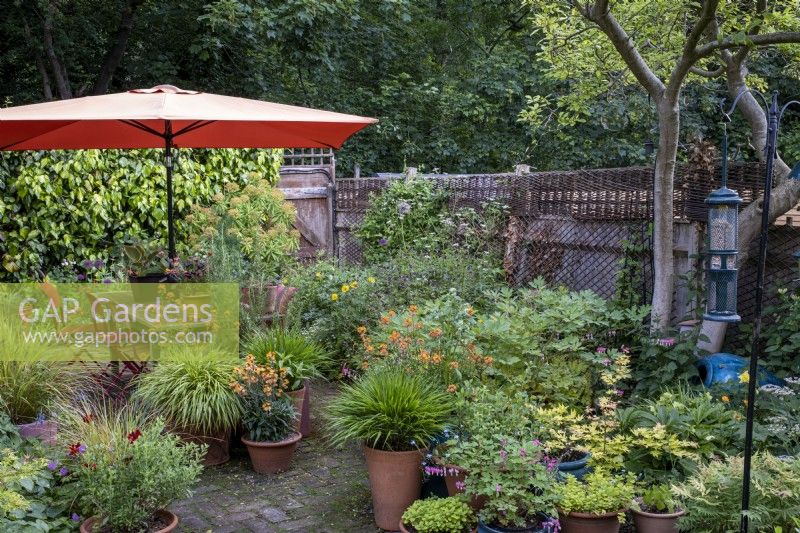 Small town cottage style garden built with wildlife in mind, large orange sunshade provides shade