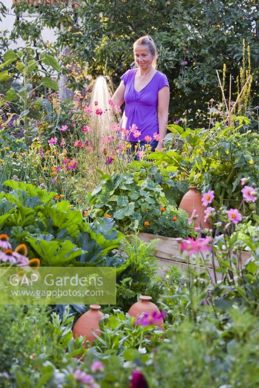 Watering a vegetable garden with a spray hose.