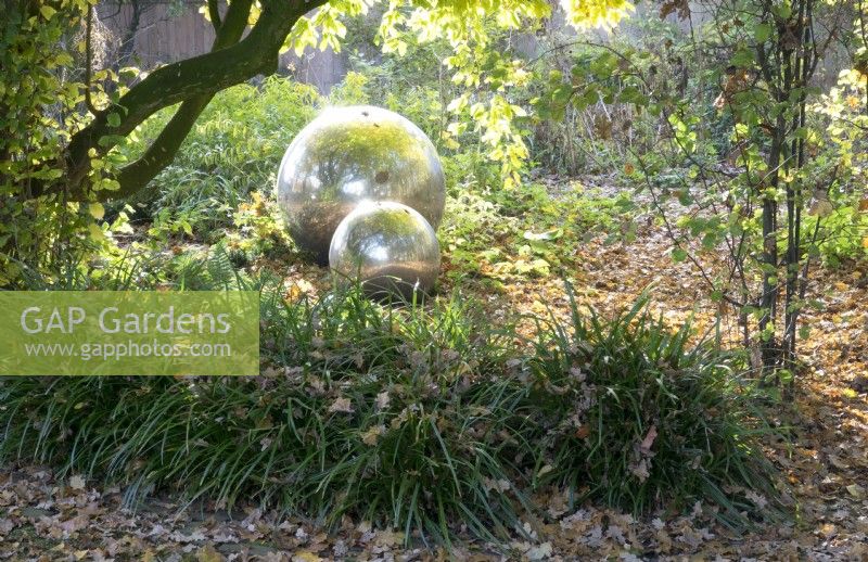 Large mirror balls laying in autumn leaves reflecting the garden.