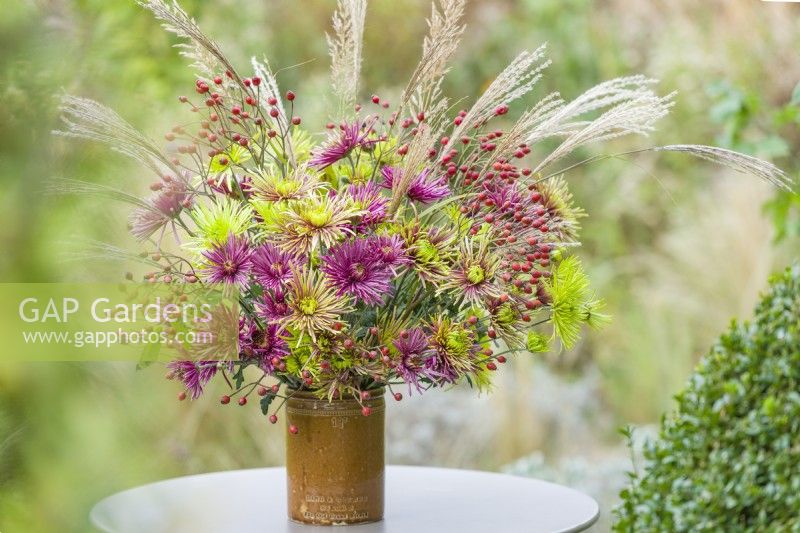 Chrysanthemum 'Tula' mixture seed heads of miscanthus and sprays of rose hips November. Cut flower arrangement in a vintage pottery jar on a garden table.
