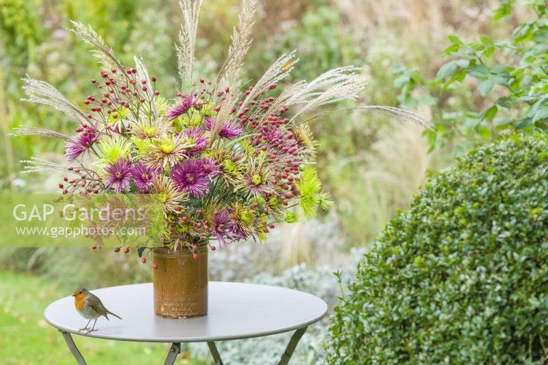 Chrysanthemum 'Tula' mixture seed heads of miscanthus and sprays of rose hips November. Cut flower arrangement in a vintage pottery jar on a garden table with robin.