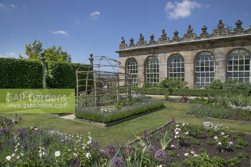 Willow obelisks for Lathyrus latifolius - sweet peas in front of The First Duke's House and garden at Chatsworth House, Derbyshire 