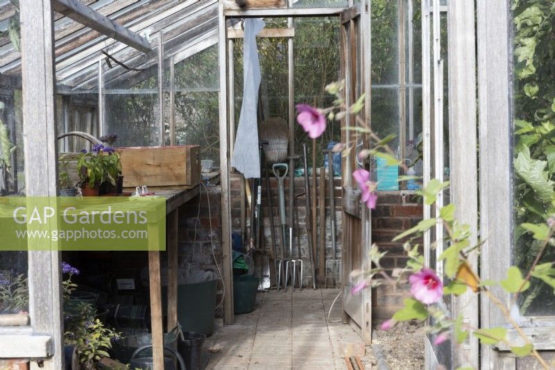 A wooden framed, lean-to style greenhouse with a wooden potting bench on left and varying tools such as spades lined up at the end. Regency House, Devon NGS garden. Autumn