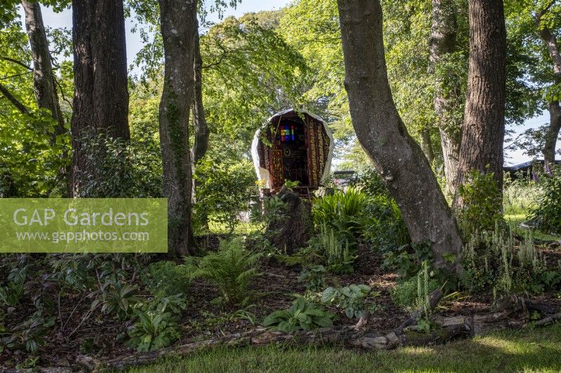 Gypsy caravan hidden behind shady garden border filled with Ferns beneath trees