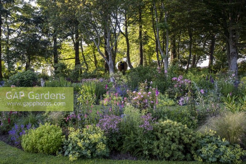 Deep perennial summer borders, with shading trees behind in a cornish country style garden