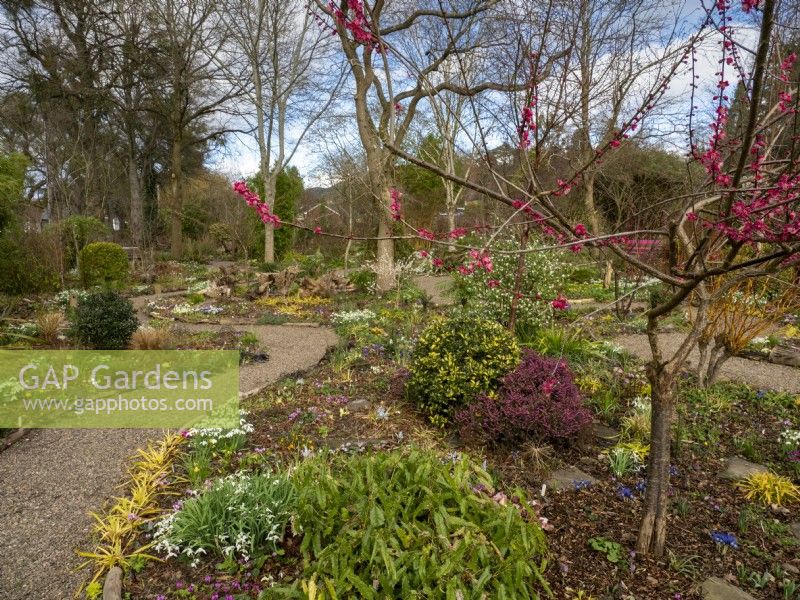 The curved paths in the garden add interest and helps the eyes appreciate the gardens