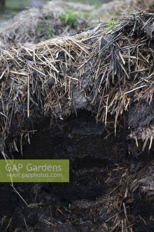 Cross section of a compost on an allotment showing decomposed matter ready for use and topped with straw. 