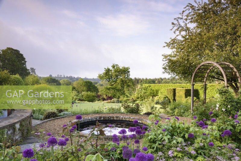 Formal terraced rose garden with circular pond and lots of Allium 'Purple Sensation' in May.