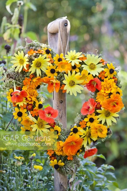 Summer wreath made of rudbeckia, nasturtium, sunflowers, pot and signet marigold hanging from the garden tool handle.
