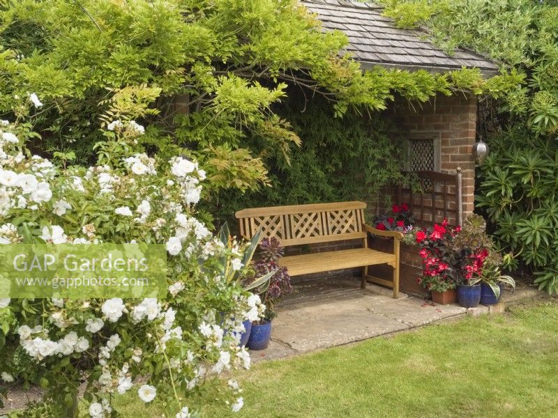 Garden pavillion with ornate wooden bench and container plants and white patio rose