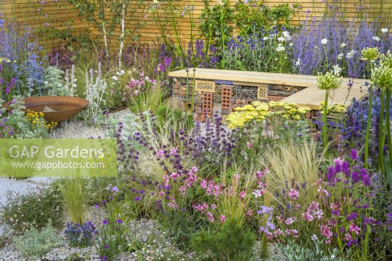 Low maintenance gravel garden with gabion bench, Corten steel water bowl and drought tolerant plants to attract pollinators, such as Salvia, Achillea, Echinops, Perovskia, Stachys byzantina, Eryngium, Santolina and Betula - Turfed Out, RHS Hampton Court Palace Garden Festival 2022