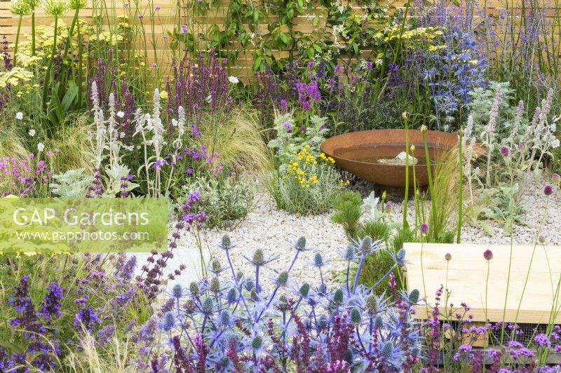 Water bowl feature in low maintenance gravel garden with drought-tolerant herbaceous plants to attract pollinators, such as Salvia, Eryngium, Stachys byzantina and Achillea 'Credo' - Turfed Out Garden, RHS Hampton Court Palace Garden Festival 2022