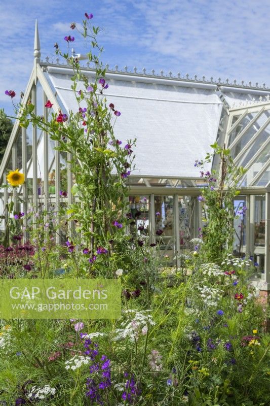 Alitex National Trust Collection  Greenhouse in Wood Sage, with cutting garden in front