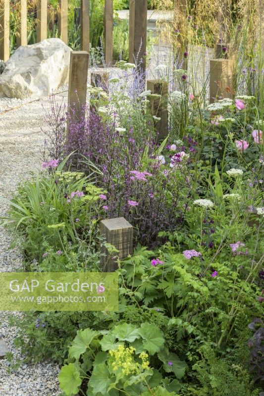 Perennial mixed planting in A Journey, in Collaboration with Sue Ryder garden at RHS Hampton Court Palace Garden Festival 2022 - Designed by Katherine Holland