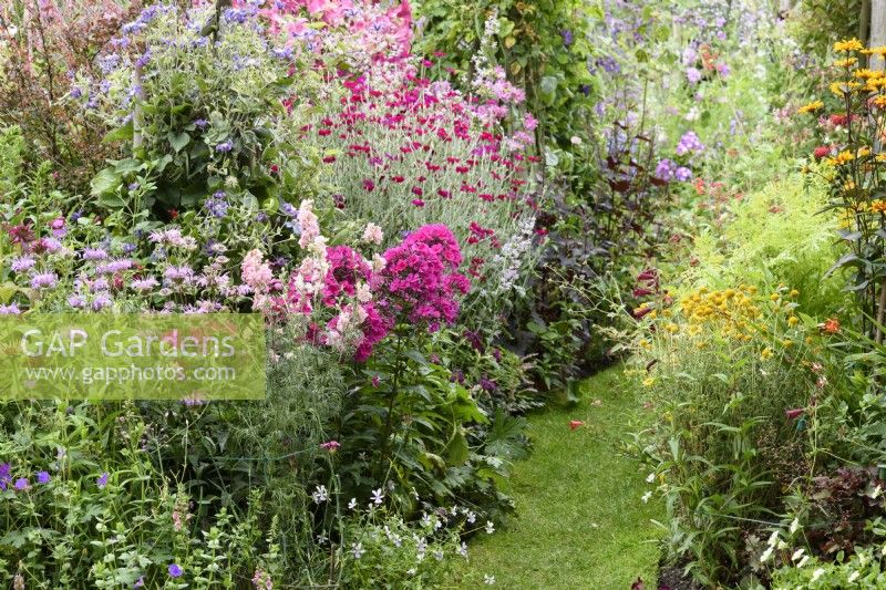 Colour themed borders in a cottage garden in July