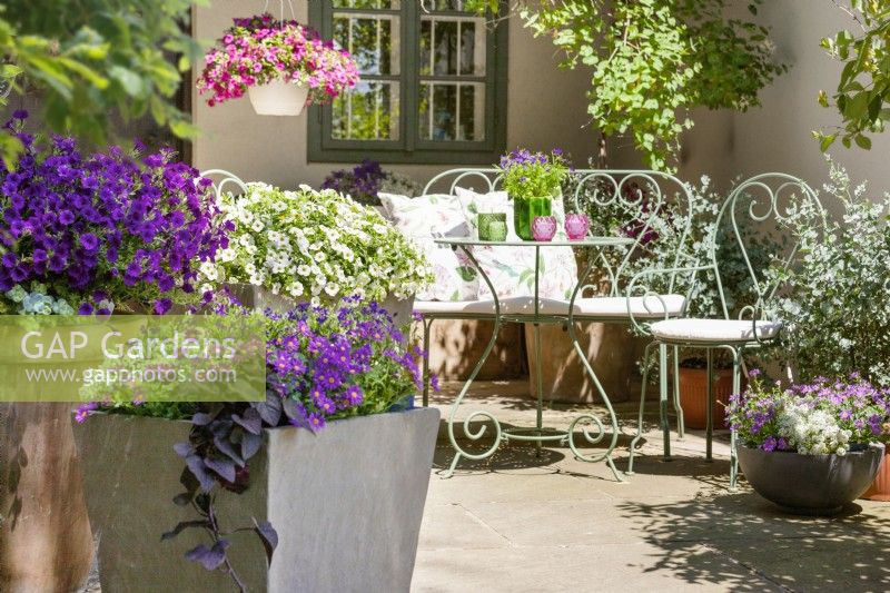 Terrace with annuals, summer August