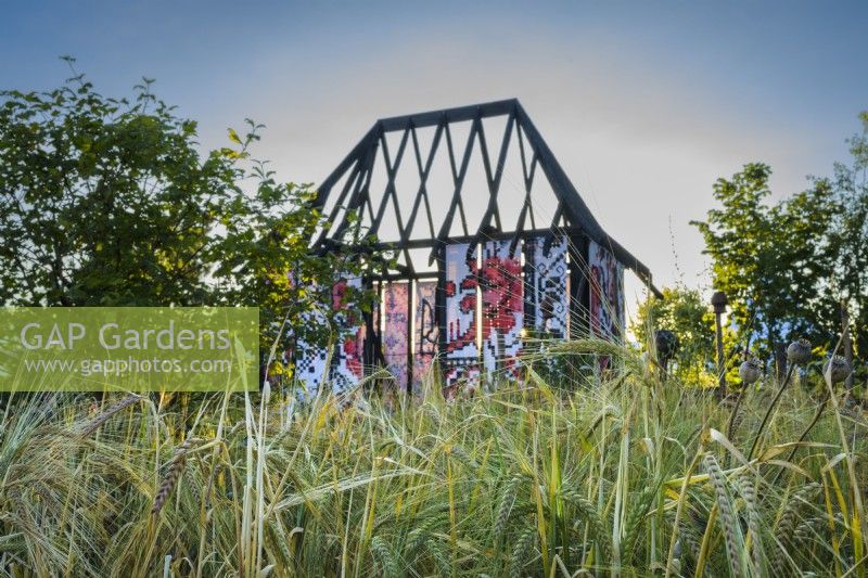 Burnt out Ukrainian Cottage in a field of barley in the What Does Not Burn garden at RHS Hampton Court Palace Garden Festival 2022