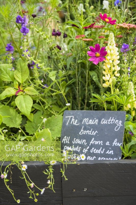 Alitex cutting garden in raised bed with colourful annuals and black memo chockboard at RHS Hampton Court Palace Garden Festival 2022 