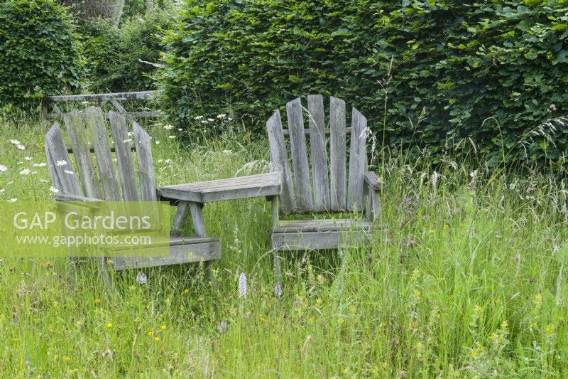 A pair of old weathered Adirondack style wooden chairs in a wild flower meadow with orchids. Beech hedge. June