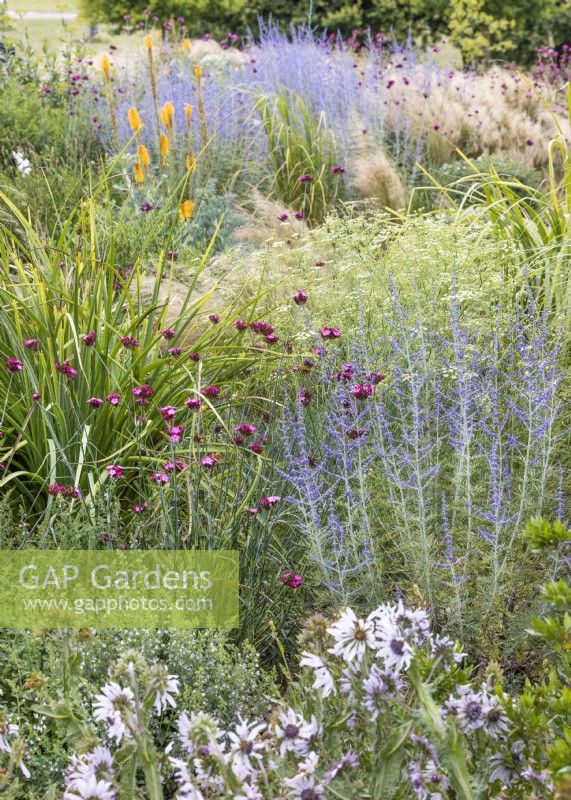 Colourful perennial bed, summer June