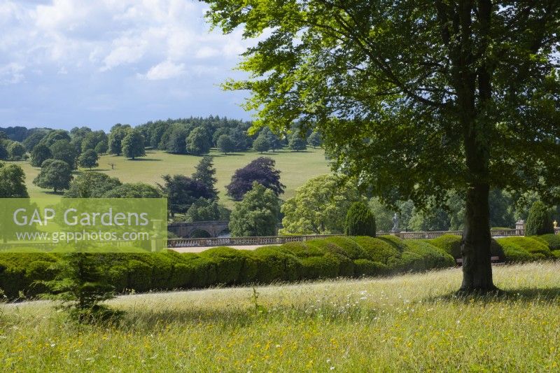 A view from the gardens at Chatsworth House to the surrounding parkland.