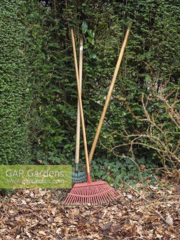 Tools for sweeping up leaves to clear ground in spring