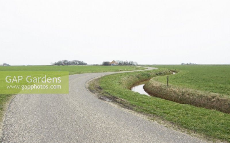 Winding road in the landscape of the island Texel to the garden with snowdrops of Nieteke Roeper.