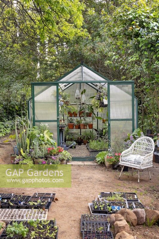 Greenhouse with seedlings in foreground