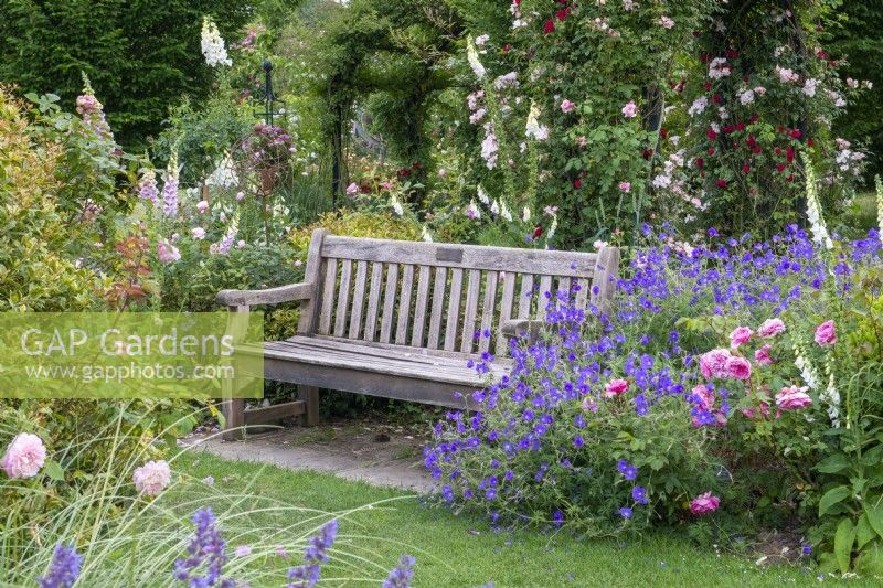 A bench is engulfed in hardy geranium 'Rozanne', fragrant roses and foxgloves.