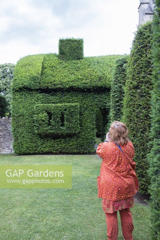 Woman visitor taking picture of massive Yew topiary in the shape of a house. July. Summer.