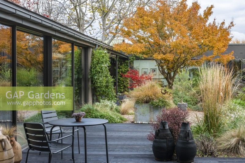 View from the house of a contemporary courtyard  (20m x 18m)  with gravel paths, reclaimed water tanks filled with plants or water, and raised beds of drought tolerant plants beneath the canopy of a Japanese maple, green until autumn turns the leaves gold.