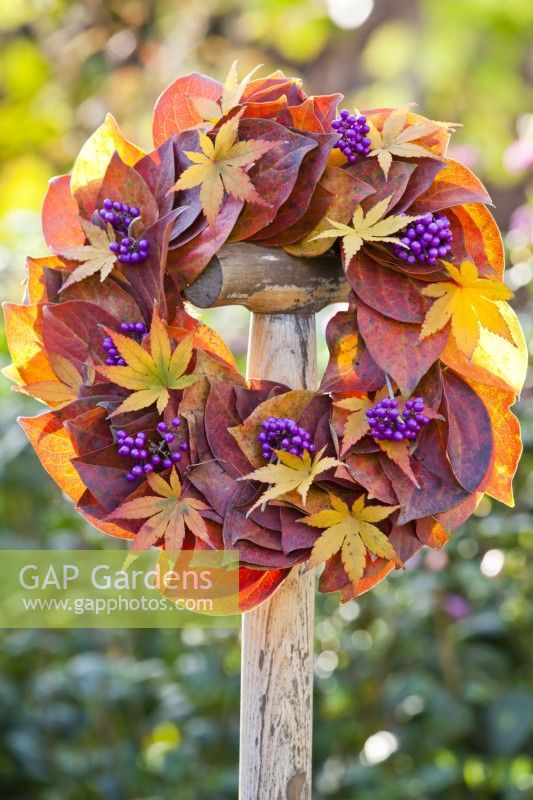Wreath made from maple and persimmon foliage and Callicarpa berries on garden tool handle.