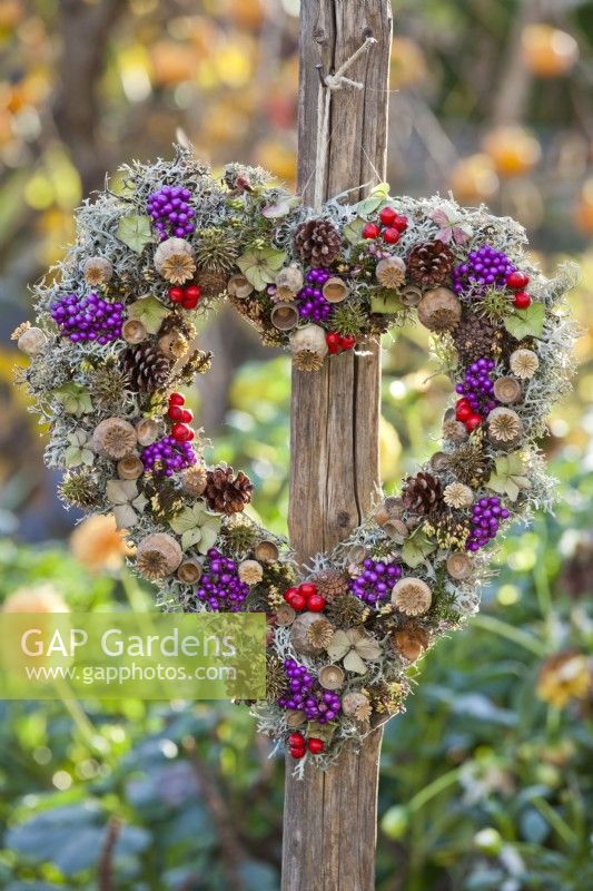 Heart shaped wreath made from cones, poppy seedheads, rowan and Callicarpa berries, lichens and acorns.