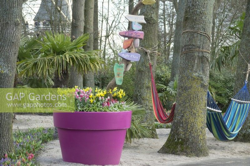 Container filled with Tulips and Daffodils and colourful nameplates on branch. Hammocks hanging in the trees.
