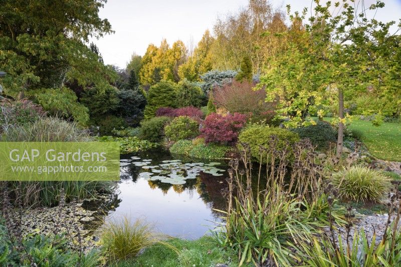 Pond at John Massey's garden in October.