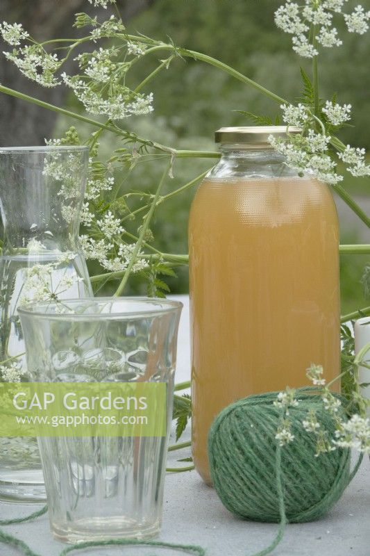 Glass and bottle with fruit juice, rope and cow parsley.