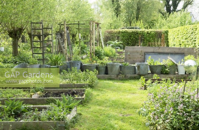 Collection of vintage zinc tubs and buckets in the vegetable garden  in a row.