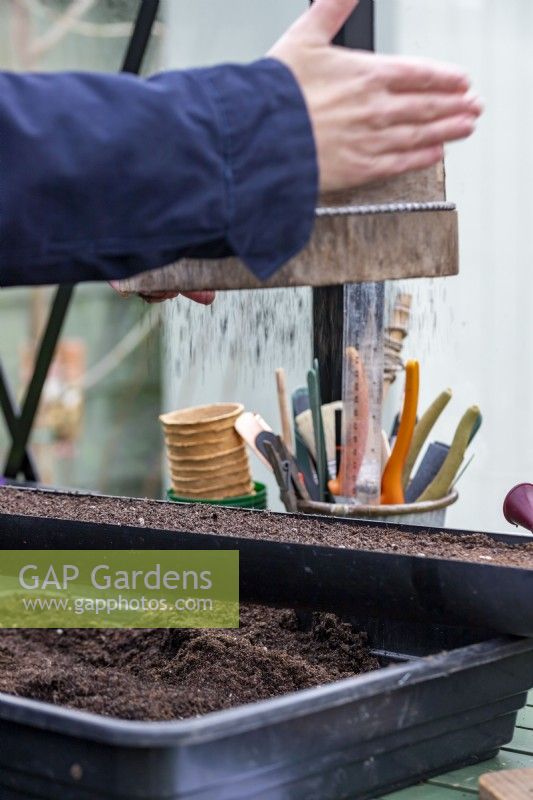 Woman using a compost sieve to evenly spread compost over the seeds