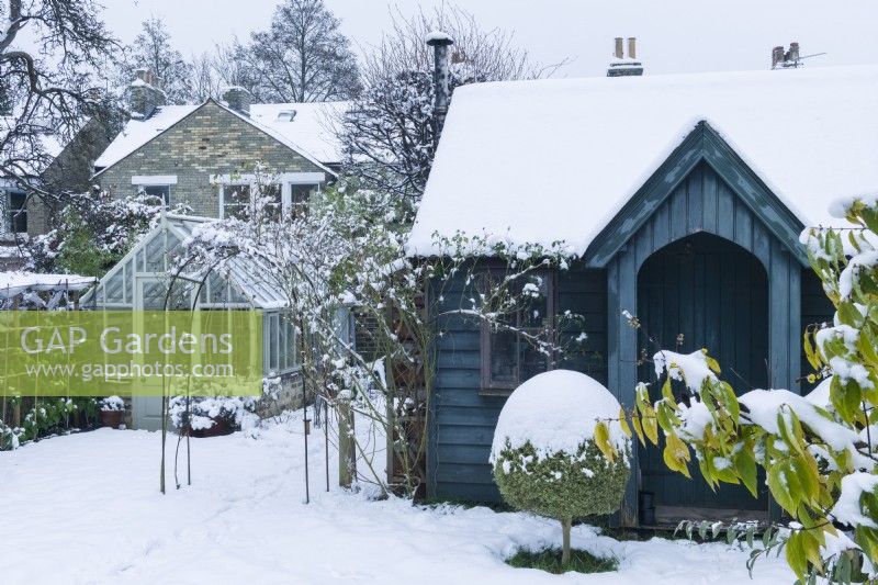 View of garden studio and traditional style greenhouse in town garden in winter with box topiary. December