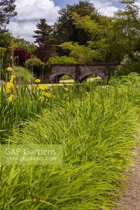 View to the main bridge over the 12th century moat. Plants include the foliage and buds of Hemerocallis (day lilies) in the foreground, and yellow flag Iris pseudocarus.