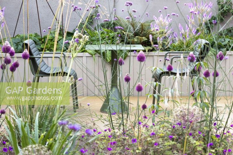 View of a small courtyard garden North Yorkshire sandstone  patio with  metal patio furniture and a wooden raised bed behind. 

Plants include Allium sphaerocephalon, Verbena bonariensis and Veronicastrum virginicum 'Fascination' - culver's root.

Design by Semple Begg Design