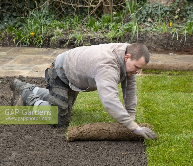 A worker laying new turf during the makeover of a London garden.