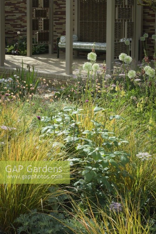 Herbaceous beds planted with  white alliums, astrantias,  geums and ornamental grasses. in front of pavillion made of willow screens - Stitchers Sanctuary Garden