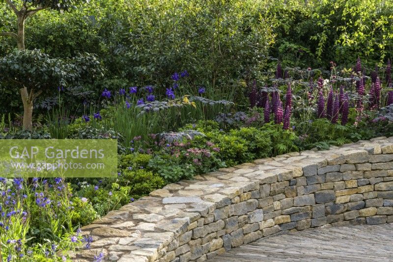 Curved stone wall and planting  of Lupins and Iris - The RAF Benevolent Fund Garden