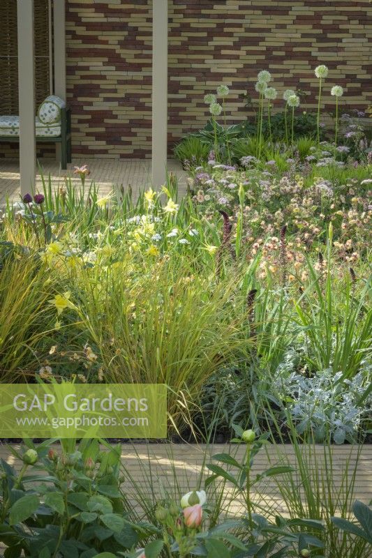 Herbaceous beds planted with perennials including white alliums and ornamental grasses. in front of pavilion made of willow screens - Stitchers Sanctuary Garden
