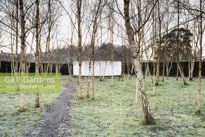 The Garden of Reflection where a poustinia is surrounded by a glade of silver birch, at the Bishop's Palace Garden, Wells, in January